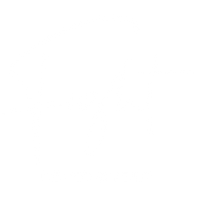 Fight to Fight