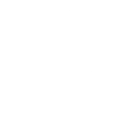 Fight to Fight